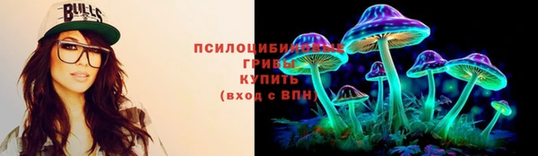 гидра Волосово