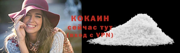 гидра Волосово