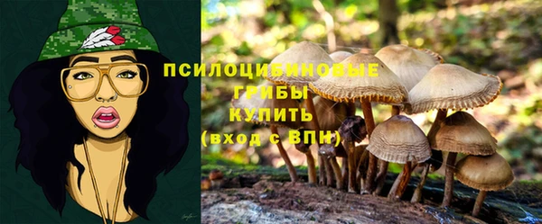 ALPHA-PVP Володарск