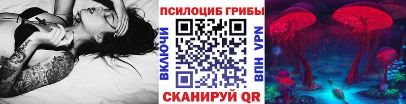 Галлюциногенные грибы Psilocybine cubensis  blacksprut рабочий сайт  Братск 